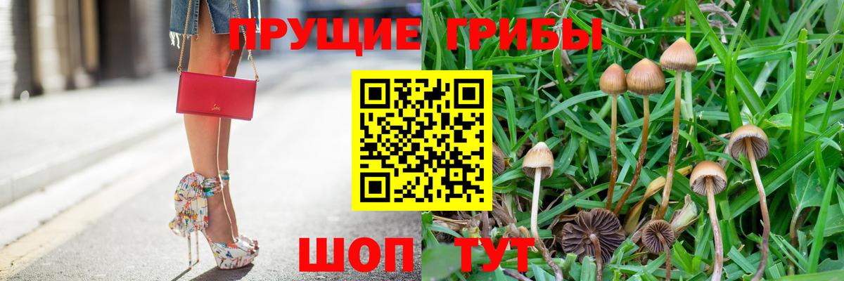 Бутурлиновка  Псилоцибиновые грибы GOLDEN TEACHER  Вход с VPN 